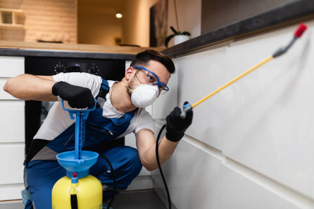 Best Best Pest Control Companies  in Carthage, TN