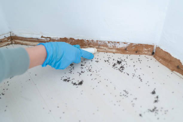 Best Pest Prevention Services  in Carthage, TN