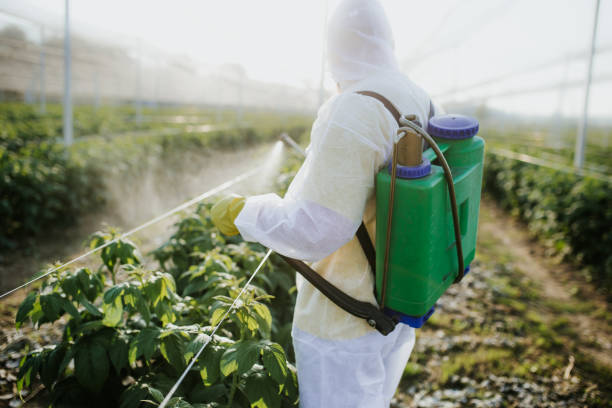 Trusted Carthage, TN Pest Control Experts